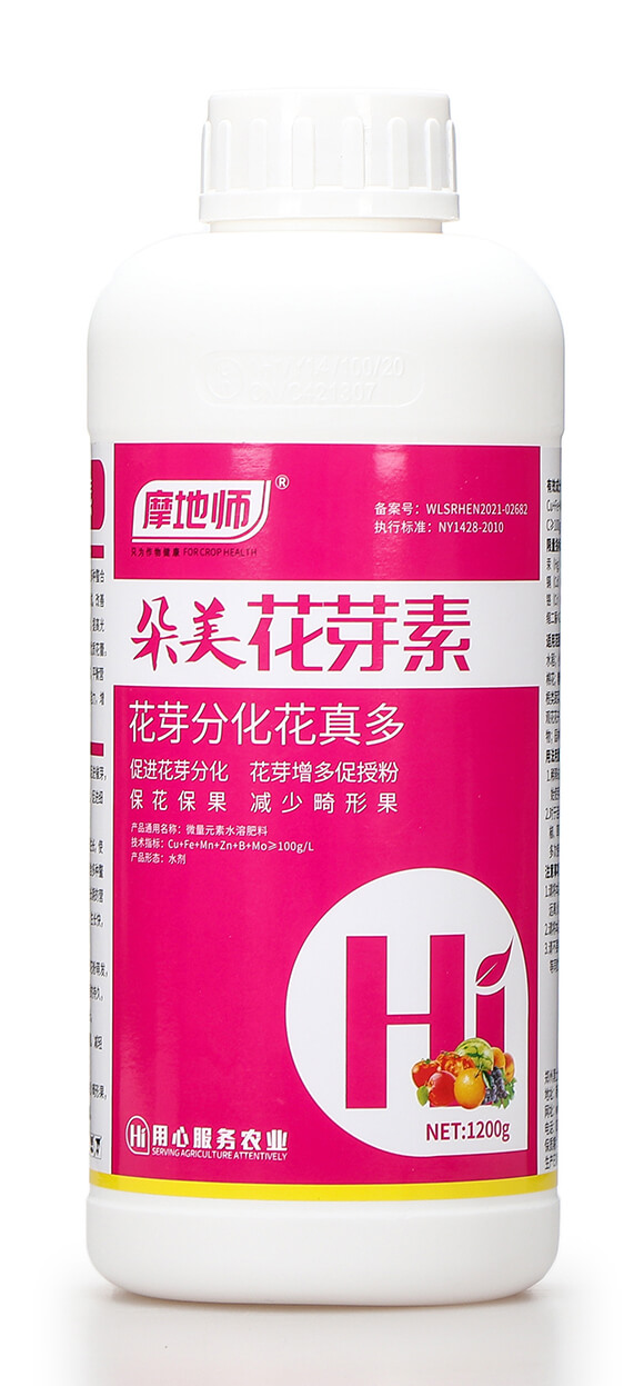 朵美花芽素 摩地師5