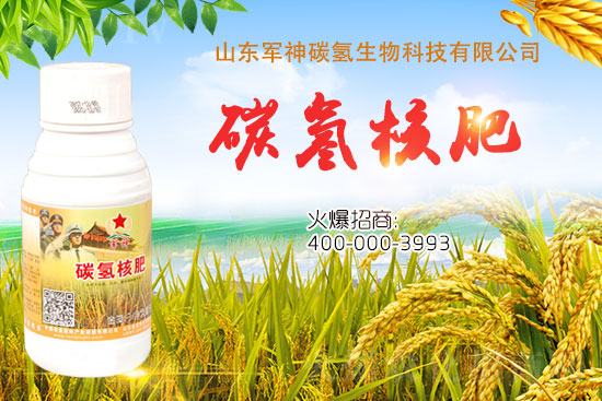 碳?xì)浜朔适鞘裁捶??為什么效果這么好?