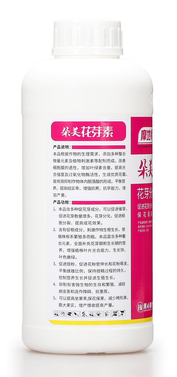 朵美花芽素 摩地師6