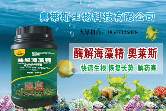 �󶹃r(ji��)��߀���ϝq�������մ󶹃r(ji��)������