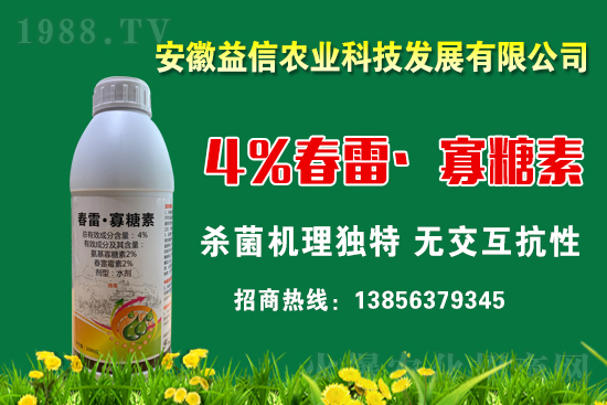 ���r(n��ng)���W(w��ng)ϲӭ���������y�������r(n��ng)�I(y��)����ؔ(c��i)��֮·��