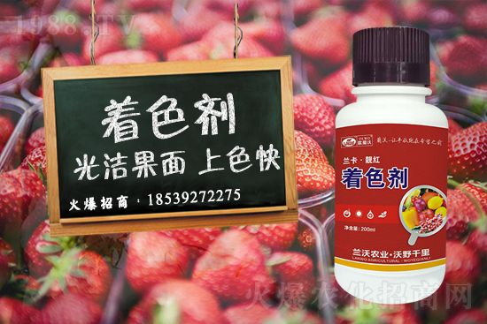 �����P(gu��n)ϵ�����A���m���r(n��ng)�I(y��)�c1988.TV�_����ƪ����