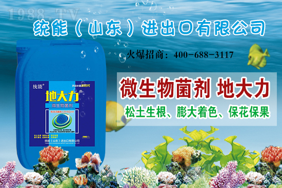 ɽ�|�y(t��ng)���ٺ�1988.TV���y�ִ����������E��