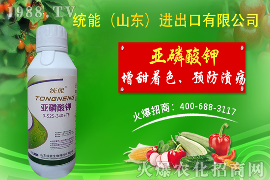 ɽ�|�y(t��ng)���ٺ�1988.TV���y�ִ����������E��