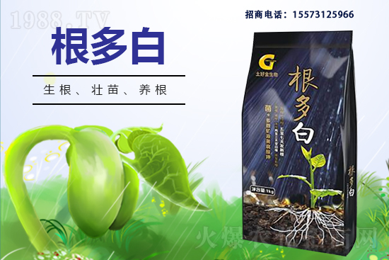 �����P(gu��n)ϵ�����A�����ý������ٺ�1988.TV������(chu��ng)���x����