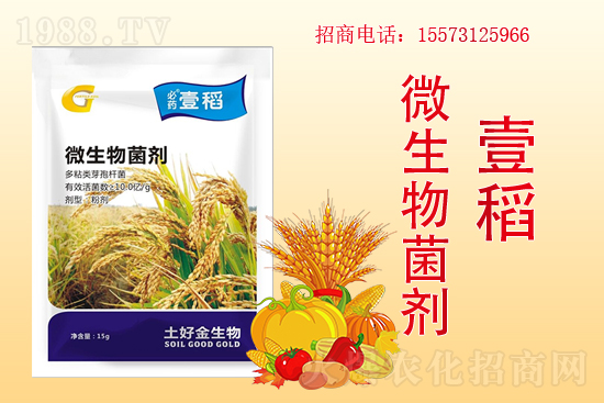 �����P(gu��n)ϵ�����A�����ý������ٺ�1988.TV������(chu��ng)���x�ͣ�