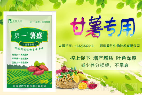 ���r(n��ng)���W(w��ng)ϲӭ�����ѣ��y�ֱ̄����ﹲ��ؔ(c��i)��֮·��