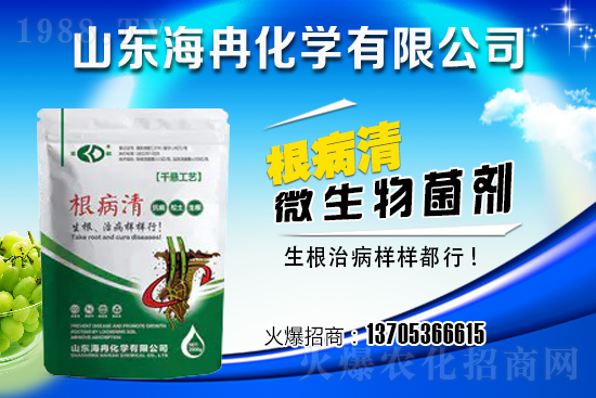 ��Ƚ���W(xu��)