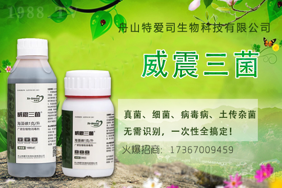 �Ͳ˚������r��2021.5.9