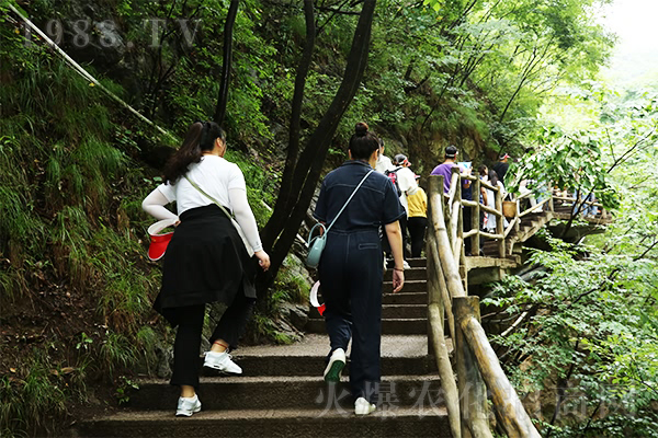 ǧ��֮����ʼ������