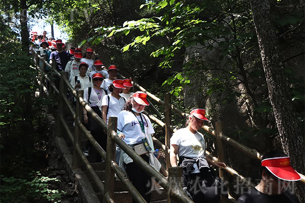 ��(n��i)���Љ�������ȫ��׷ۙ