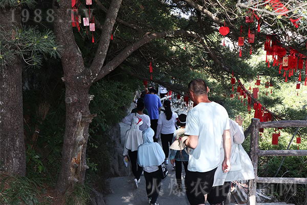 ���ӡ����½������������˼���������_����