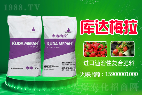 原料上漲，2021年6月2日復合肥漲勢如何？