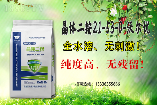 һ�@���m(x��)��λ��2021.6.25���@�r(ji��)���������(b��o)