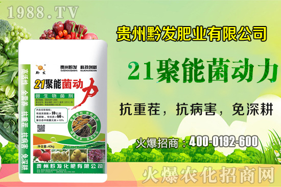 ǭ�l(f��)�ʘI(y��)�ٶȔy��1988.TV���y�ִ����������E��