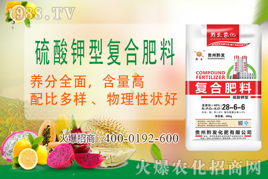 ǭ�l(f��)�ʘI(y��)�ٶȔy��1988.TV���y�ִ����������E��