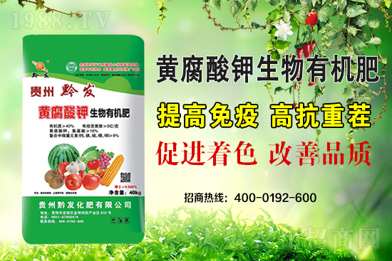 ǭ�l(f��)�ʘI(y��)�ٶȔy��1988.TV���y�ִ����������E��