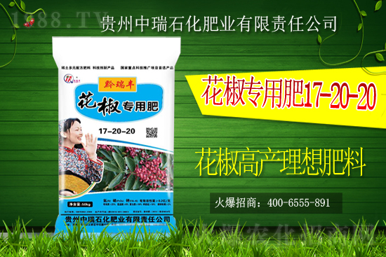     ����ʯ���ʘI(y��)�𱬁��u���ٺ����r(n��ng)�����̾W(w��ng)���_��(chu��ng)���x����