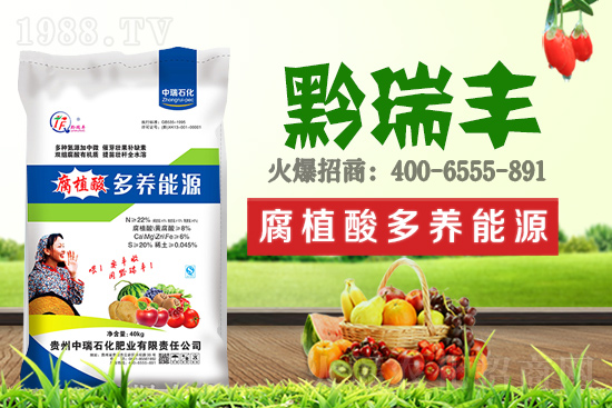     ����ʯ���ʘI(y��)�𱬁��u���ٺ����r(n��ng)�����̾W(w��ng)���_��(chu��ng)���x�ͣ�