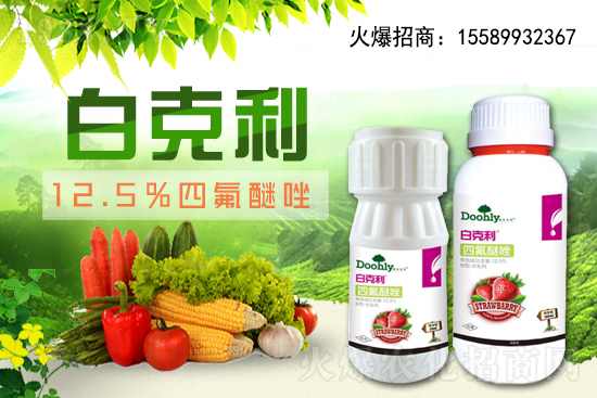 德國(guó)東利續(xù)約1988.TV！戰(zhàn)略合作關(guān)系再上新臺(tái)階！