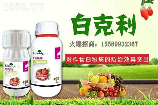 德國(guó)東利續(xù)約1988.TV！戰(zhàn)略合作關(guān)系再上新臺(tái)階！