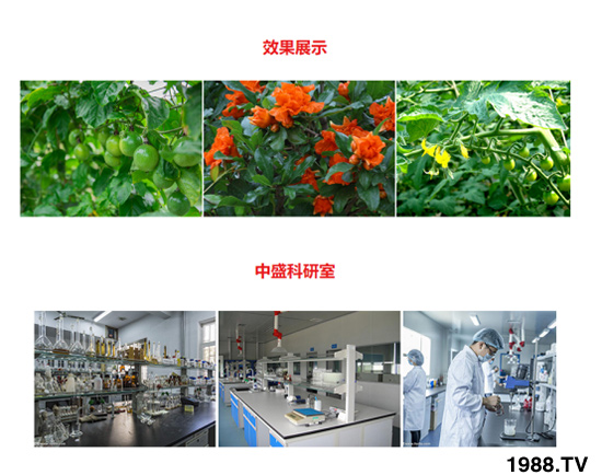 200g含氨基酸水溶肥 田地精華 農(nóng)富天下4