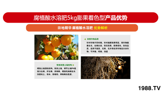 膨果著色型含腐植酸水溶肥 田地精華 農(nóng)富天下3