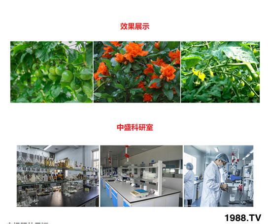 平衡生長型含腐植酸水溶肥 田地精華 農(nóng)富天下4