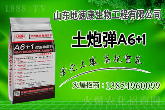    �����P(gu��n)ϵ�����A��ɽ�|���ٿ��c1988.TV�_����ƪ�£�