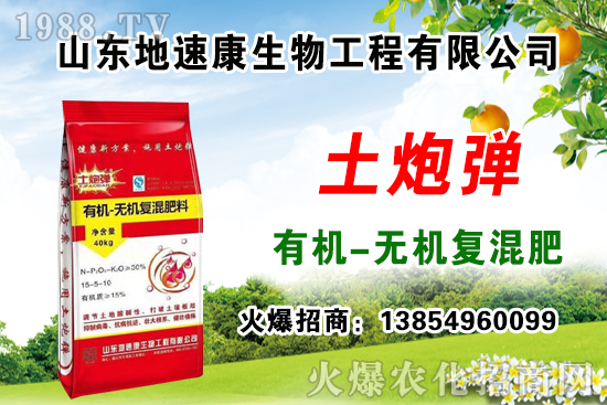    �����P(gu��n)ϵ�����A��ɽ�|���ٿ��c1988.TV�_����ƪ����