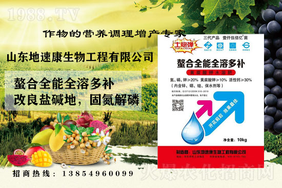    �����P(gu��n)ϵ�����A��ɽ�|���ٿ��c1988.TV�_����ƪ����