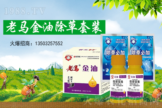 草甘膦價格創(chuàng)新高,2021年7月15日草甘膦價格走勢