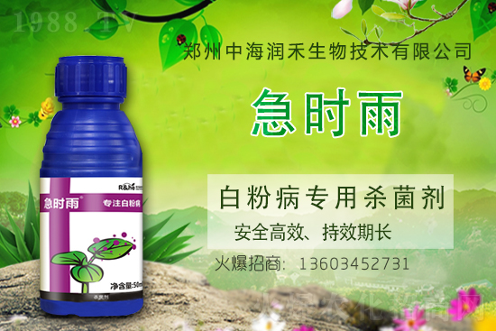     �к������ٺ����r(n��ng)�����̾W(w��ng)�����M(j��n)��(zh��n)�Ժ�����������