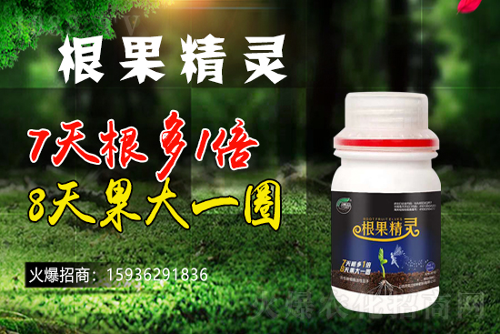 ��ɫ�и��m���m(x��)1988.TV�����\�����°l(f��)չ��