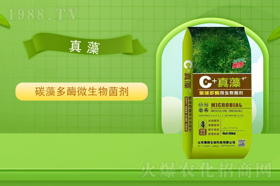 ɽ�|�W�������ٺ�1988.TV���y�ִ����������E��