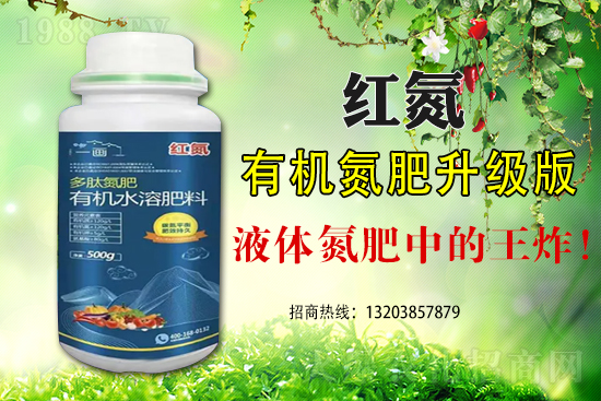 玉米為什么會(huì)出現(xiàn)早衰這種現(xiàn)象？如何避免玉米早衰？