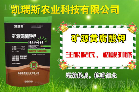 �y��ͬ�У����\�l(f��)չ����ϲ�P��˹�r(n��ng)�I(y��)�ٺ�1988.TV��