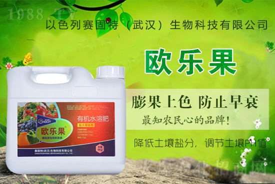 ��ɫ��ِ�����ٶȔy��1988.TV���y�ֹ���(chu��ng)��(zh��n)�����ل�(chu��ng)�x����