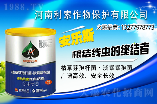 ��ռ�̙C(j��)���������A�����������y���r(n��ng)���W(w��ng)�ل�(chu��ng)���x����