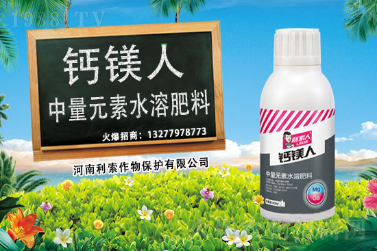 ��ռ�̙C(j��)���������A�����������y���r(n��ng)���W(w��ng)�ل�(chu��ng)���x����