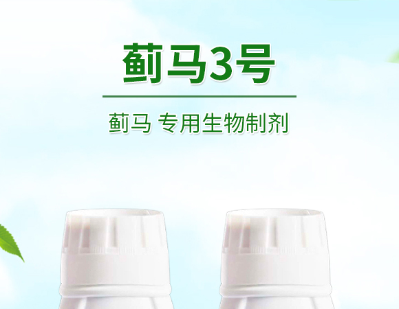 �E�R�����������Ƅ�-�E��3̖-�����S����_01