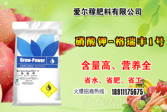 �����P(gu��n)ϵ�����A���۠��ڷ����ٺ�1988.TV������(chu��ng)���x����