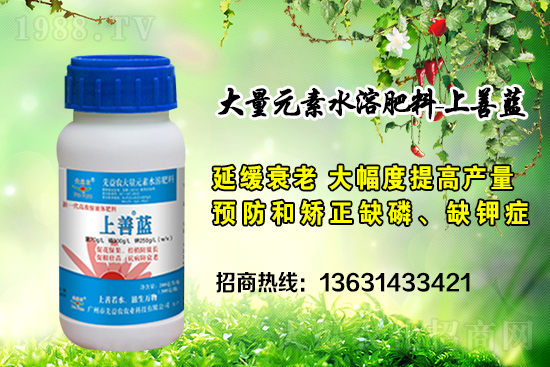 廣州市先益農(nóng)再度攜手1988.TV，攜手共創(chuàng)新戰(zhàn)績！