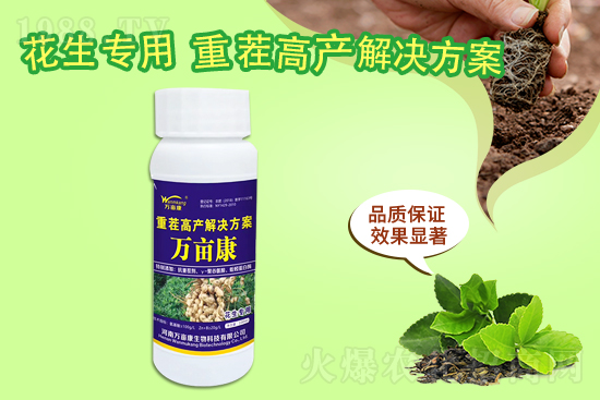 ���@����(w��n)������20219��10�����@�r�������r