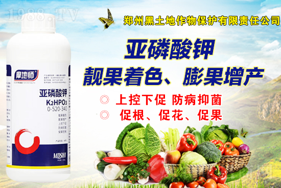 2021��9��20�����@�r�������Ӎ