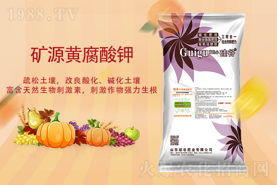 2021��9��22�Տ�(f��)�Ϸʃr(ji��)�������߄�(sh��)