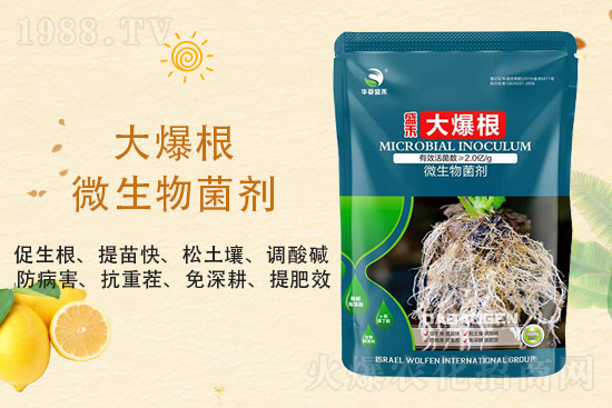 ���@�r(ji��)��ַ�(w��n)��2021��9��3�����@�r(ji��)���������