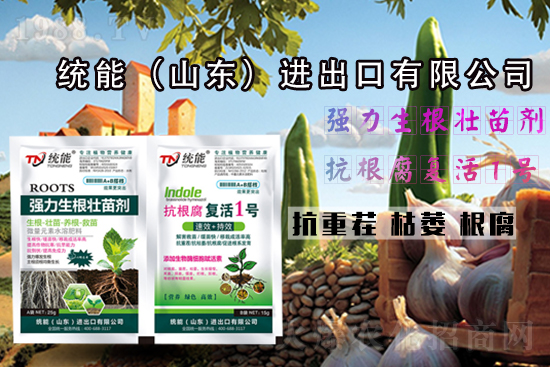 ��ɽ�|�y(t��ng)�ܡ�ףһ·�߁������т�����������\�o����