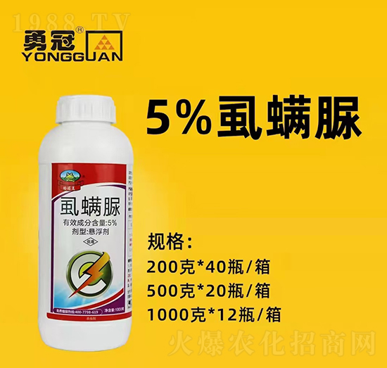 �������¹چ̵ϡ�ȫ�w�T����ף��������2022���I(y��)�v�w����������������