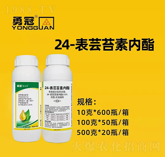 �������¹چ̵ϡ�ȫ�w�T����ף��������2022���I(y��)�v�w������󼪣��������